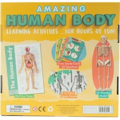 Amazing Human Body