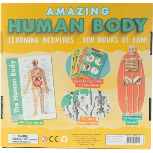 Amazing Human Body