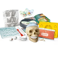 Crazy Anatomy