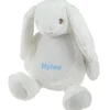 Personalised Bunny Soft Toy (White)